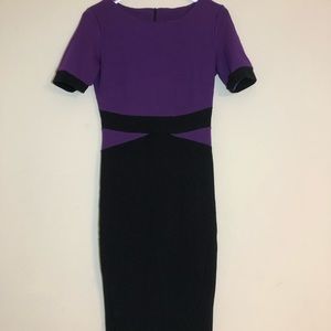 Purple and Black dress